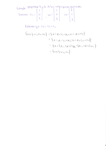 Escaner20210728-3.pdf