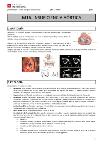 M16.pdf