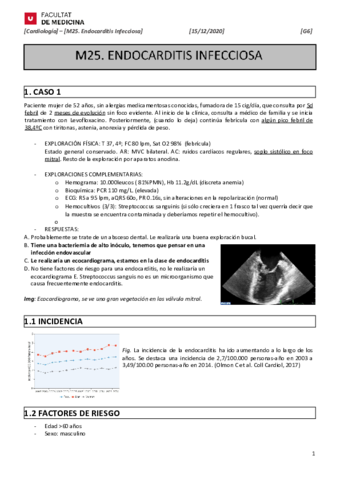 M25.pdf