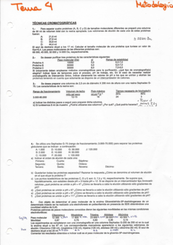 Problemas-resueltos-Cromatografia.pdf