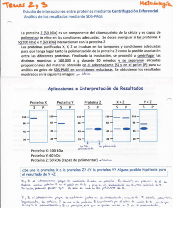 Problemas-resueltos-Centrifugacion-EF.pdf