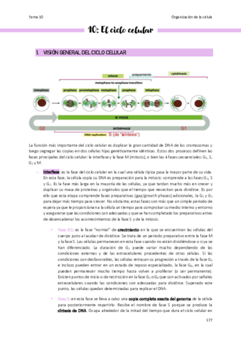 Tema-10-Organizacion-de-la-celula.pdf