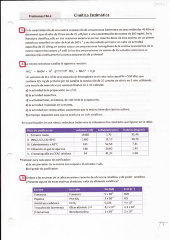 Problemas-FM-2.pdf