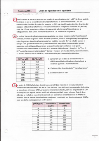 Problemas-FM-1.pdf