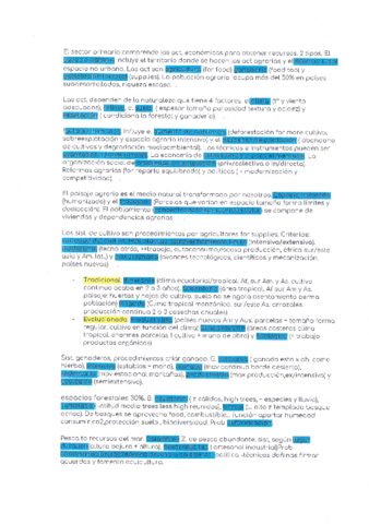 Sector-primario.pdf