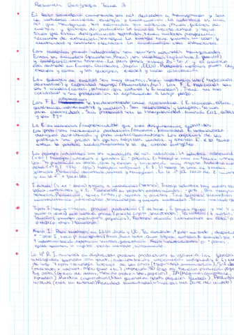 Sector-secundario.pdf