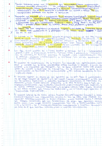 Sector-terciario.pdf