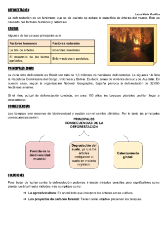 DEFORESTACION.pdf