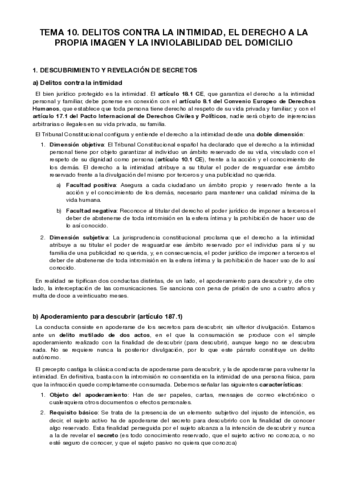 TEMA-10.pdf