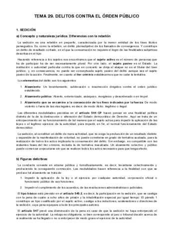 TEMA-29.pdf