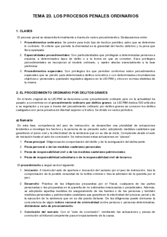 TEMA-23.pdf