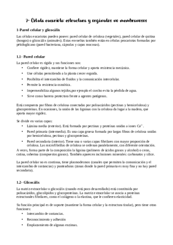 Tema-7-apuntes.pdf