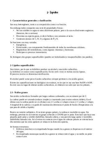 Tema-3-apuntes.pdf