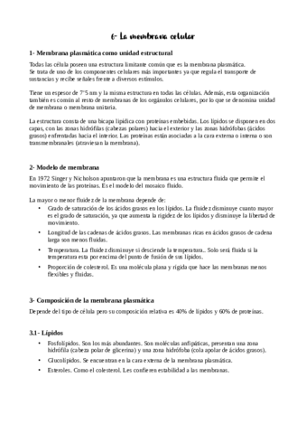 Tema-6-apuntes.pdf