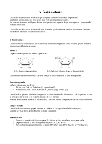 Tema-5-apuntes.pdf