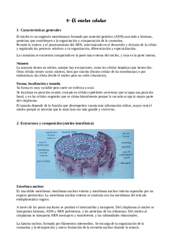 Tema-9-apuntes.pdf