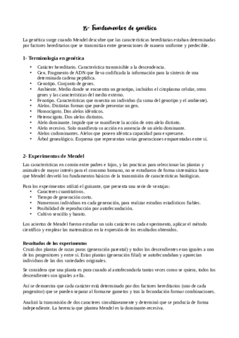Tema-15-apuntes.pdf