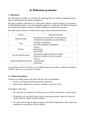 Tema-19-apuntes.pdf