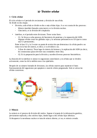 Tema-10-apuntes.pdf