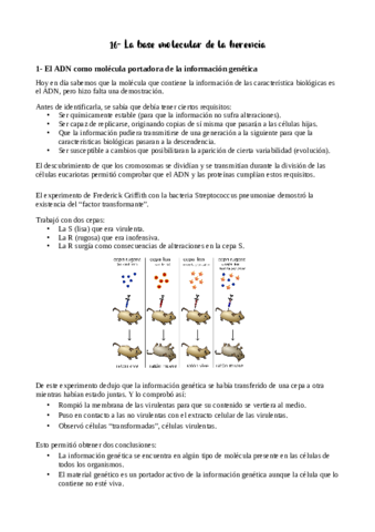 Tema-16-apuntes.pdf