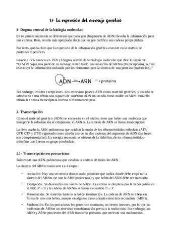 Tema-17-apuntes.pdf