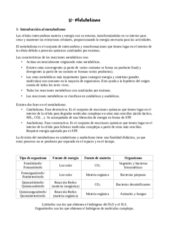Tema-12-apuntes.pdf