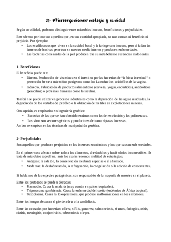 Tema-21-apuntes.pdf