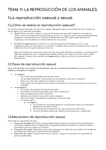 RESUMENTEMA11.pdf