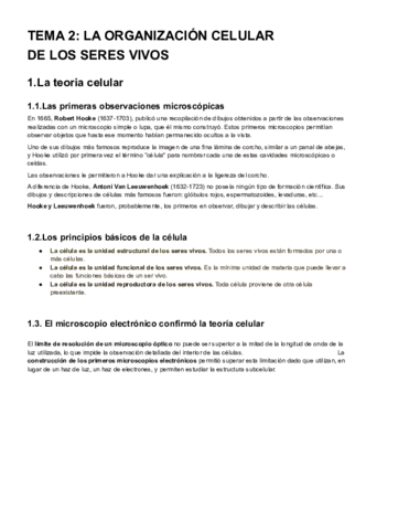 ResumenTemas23.pdf