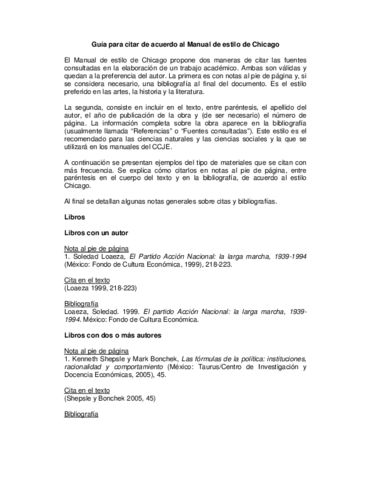 CITAS-CHICAGO.pdf