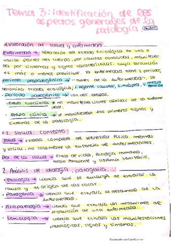 Resumen-Tema-3-Anatomia.pdf