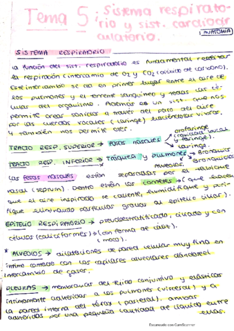 Resumen-Tema-5-Anatomia.pdf