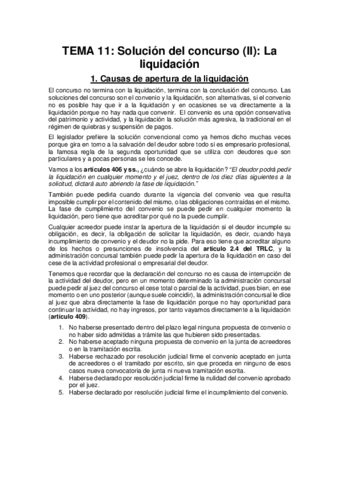 TEMA-11-CONCURSAL.pdf