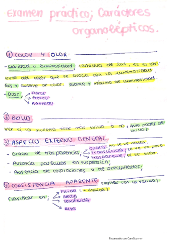 Resumen-Tema-9-Examen-practico.pdf