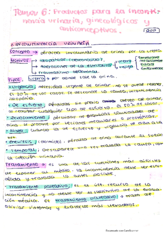Resumen-Tema-6-DPP.pdf