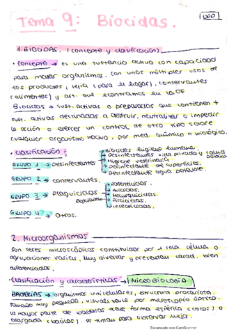 Resumen-Tema-9-DPP.pdf