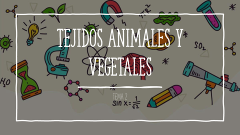TEJIDOS-ANIMALES-Y-VEGETALES.pdf