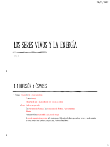 Los-seres-vivos-y-la-energia-el-bueno.pdf