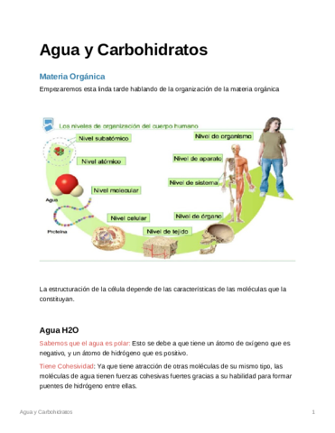 AguayCarbohidratos.pdf