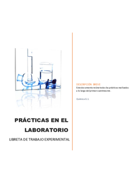 Libreta de laboratorio.pdf