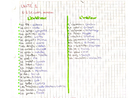 Vocabulario-el-cuerpo-humano.pdf