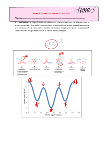 TEMA-5.pdf