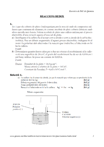 exercicis-redox-pau.pdf