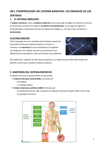 Ud7-patologia-general.pdf