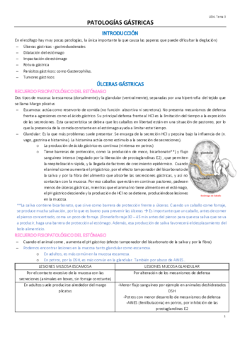 UD4T3.pdf