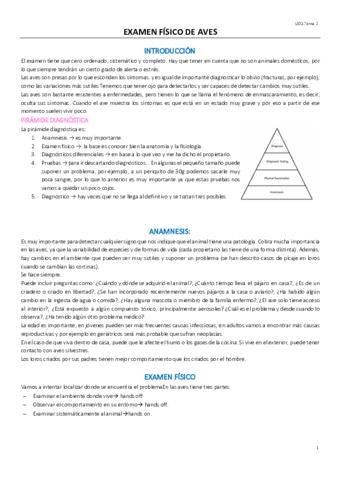 UD2T2EXOTICOS.pdf