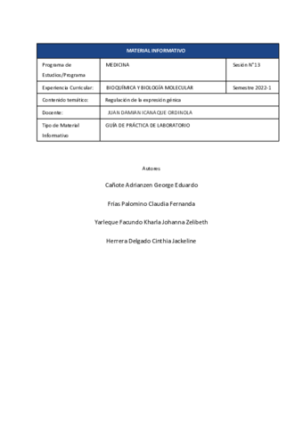 Informe-de-practica-semana-13.pdf