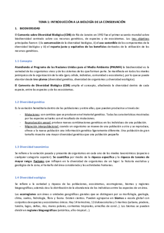 ResumenCompletoGCFF.pdf