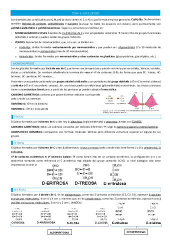 TEMA-4-LOS-GLUCIDOS.pdf