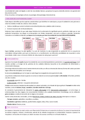 TEMA-3-ETAPAS-DEL-CUIDADO.pdf